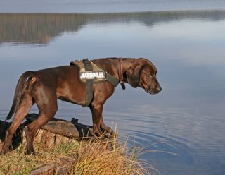 K-9 Suchhundezentrum inline small (2)